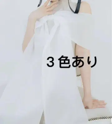 Sheer Big Ribbon Mini Dress
