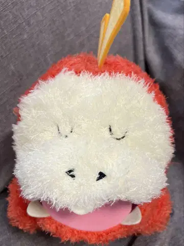 뜨아거 봉제 인형 포켓몬 포켓몬스터