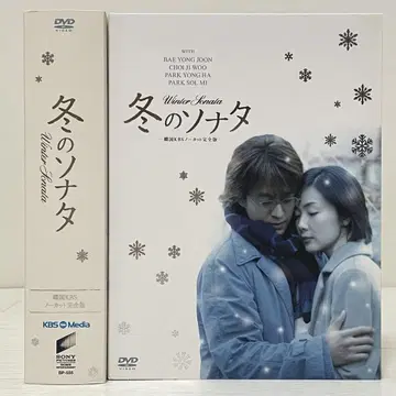 겨울연가 한국 KBS 노컷 완전판 DVD 14매 세트