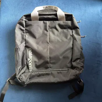 Patagonia 파타고니아 백팩 백팩 48310FA20