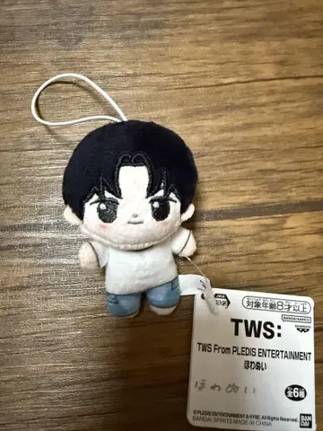 TWS 홓와누이 YOUNGJAE (영재)