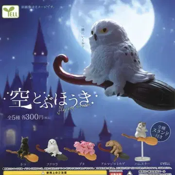 하늘을 나는 빗자루 총 5종 세트