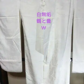 시로무쿠 학과 구름 W