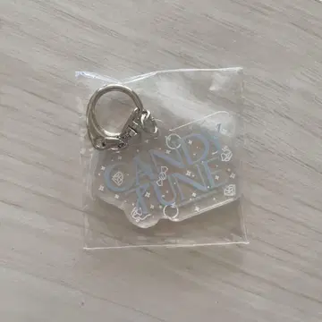 CANDY TUNE 로고 아크릴 키링 가챠