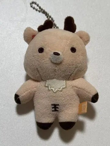 RIIZE 성찬 으라차차 봉제 인형 공식