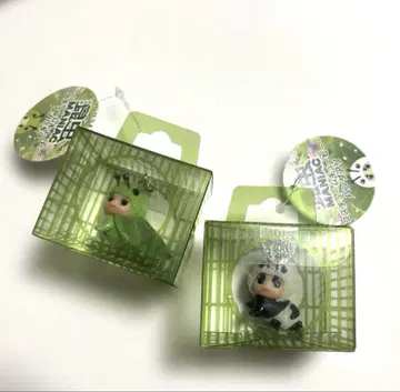 2세트 곤충 MANIAC전 큐피