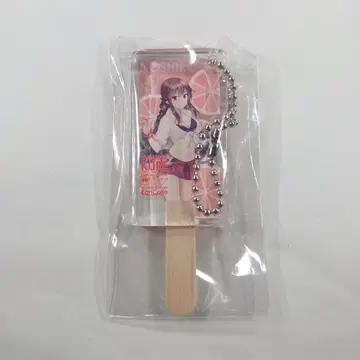 칸코레 칸코레전 in 쿠레시 미술관 아이스 아크릴 키링 노시로
