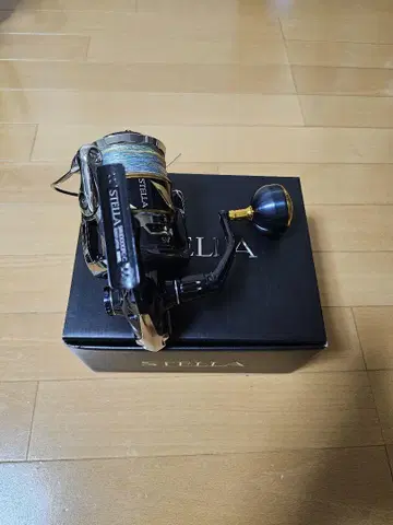 스텔라 SW 10000PG (2019)