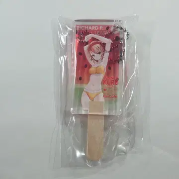 칸코레 칸코레전 in 쿠레시 미술관 아이스 아크릴 키링 리처드