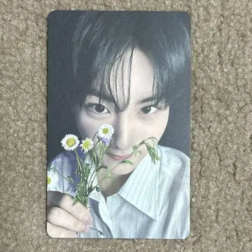 ENHYPEN 정원 럭드 요이 트레이딩 카드 타워 레코드