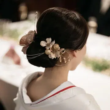 머리 장식 팔레놉시스 시로무쿠 세트