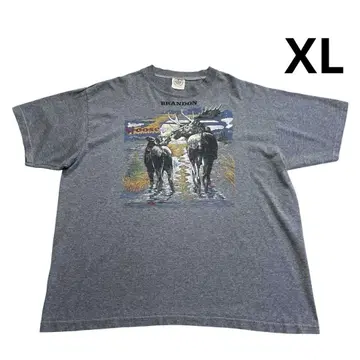 80년대 90년대 캐나다제 Moose 티셔츠 XL 헤더 그레이
