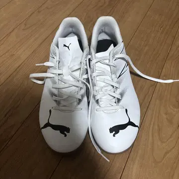 풋살화 Puma 화이트 26.5cm
