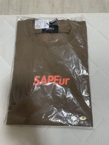 sapeur 사풀 로드먼 브라운