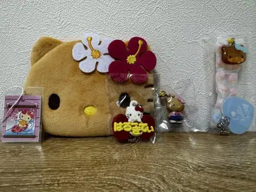 일광화상 키티 이름 러버 키링 5세트