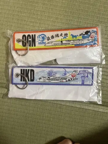 JAL 지역 공항 플라이트 택 키링 HKD 하코다테 비행기