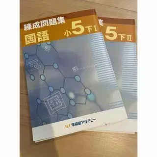 연성 문제집 국어 초등 5학년 아래 I & II