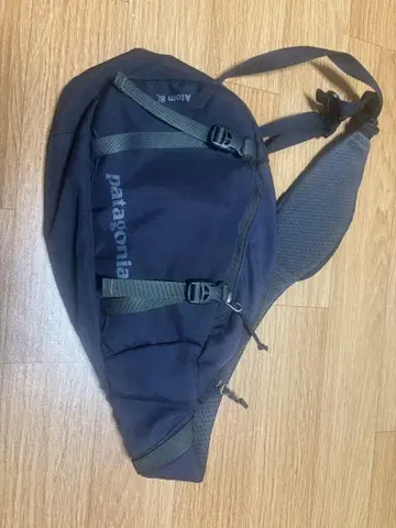 Patagonia Atom 8L 바디백