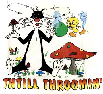 희귀 LOONEY TUNES 빈티지 티셔츠