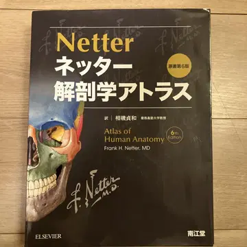 네터 해부학 아틀라스