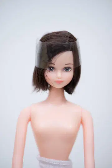 리카 캐슬 오타노시미 인형 시온