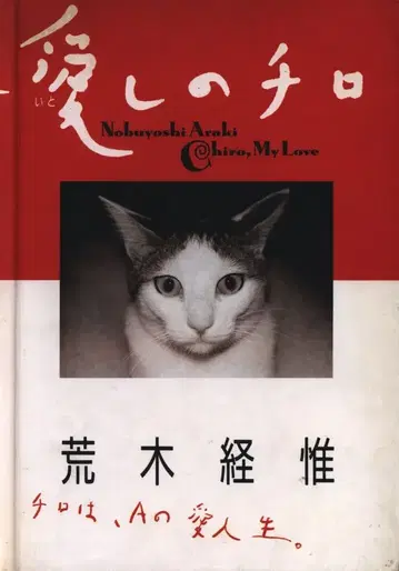 아라키 노부요시 사랑스러운 치로