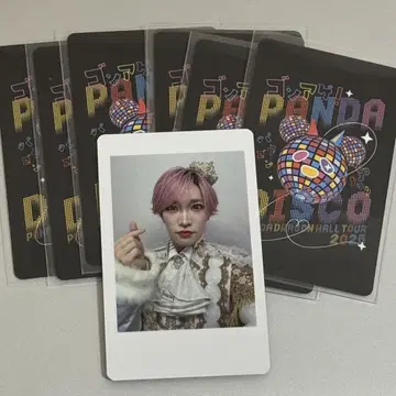 판다드래곤 타이가 하피카