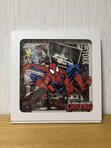 SPIDER-MAN Canvas art
