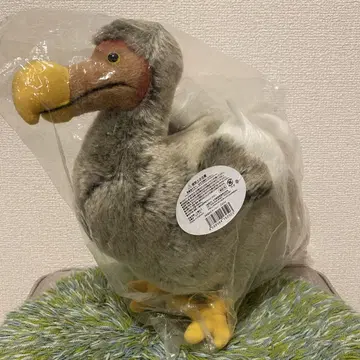[미개봉 새상품] 100+1 도도 Dodo 봉제 인형