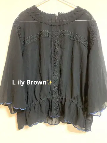 릴리 브라운 Lily Brown 자수 블라우스 블랙 시어