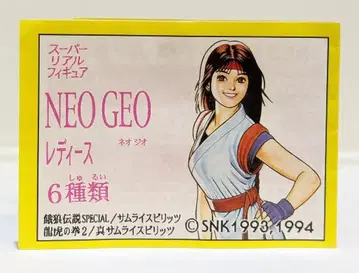 반다이 미니북 NEO GEO 슈퍼 리얼 피규어 네오 지오 여성용