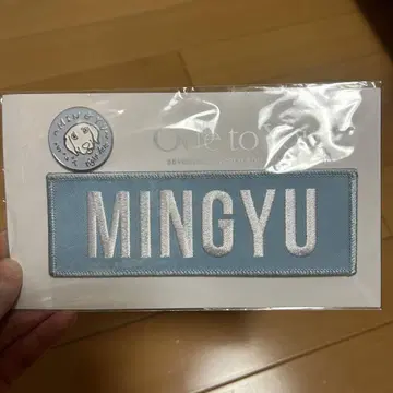 seventeen 민규 배지 세트