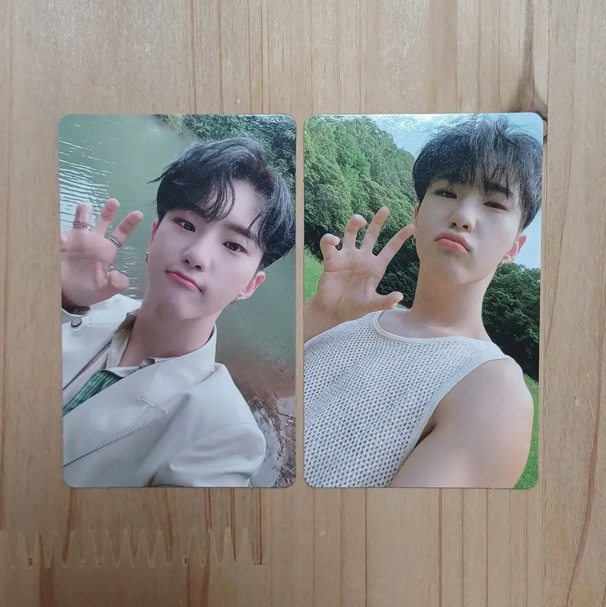 Seventeen hoshi Social Club Horanghae poca bulk
