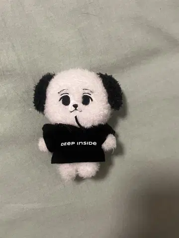 동해 DEep inside 봉제 인형 + 후드티 포함