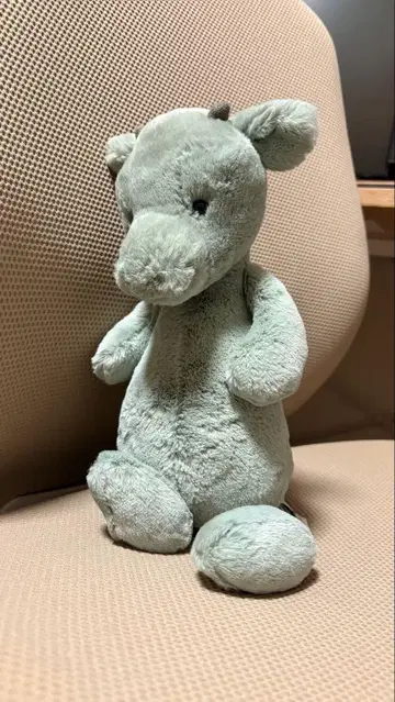 젤리캣 드래곤