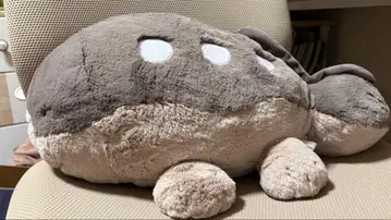 포켓몬 도오  안는 봉제인형