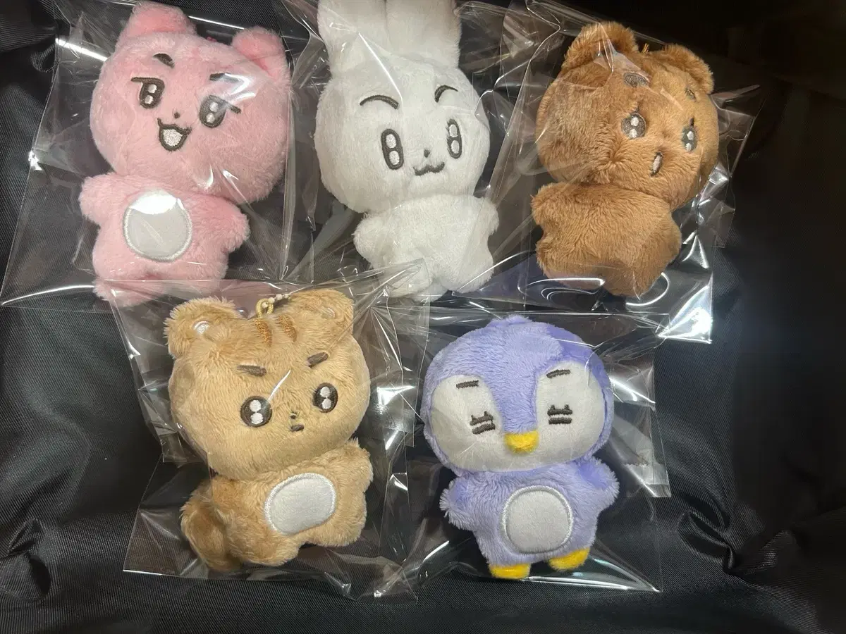 Tomorrow by Together txt bbobatoo doll, Mellow Bean, Mellow Jun, Fuzzy Bam, Fuzzy Ten, Mellow Ning
