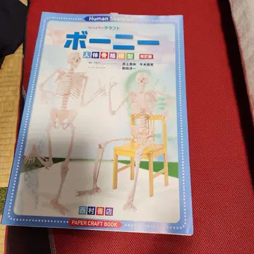 페이퍼 크래프트 북 보니