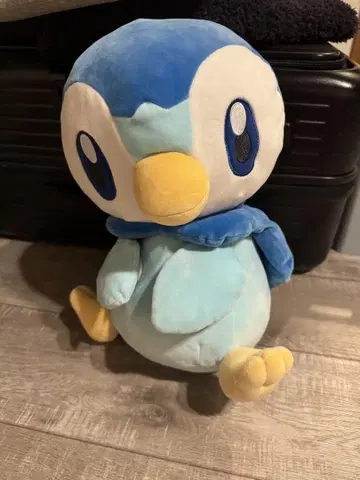 느긋한 팽도리 봉제인형