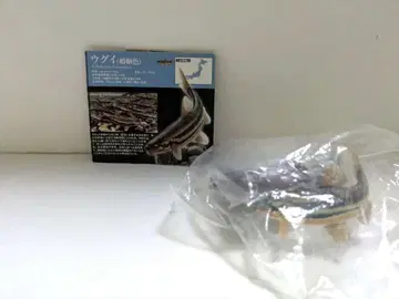 네이처 테크니컬러 일본의 청류 초판 끄리 피규어 혼인색