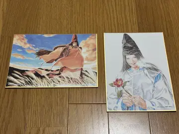 히카루의 바둑 원화전 색지 후지와라 사이