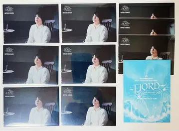 Mrs. GREEN APPLE FJORD 오오모리 023 9