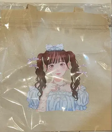 sweet steady 시오카와 리세 생탄제 토트백