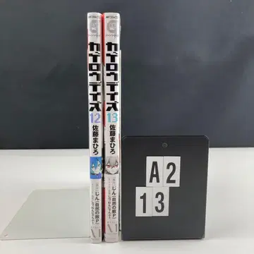 띠 아지랑이 데이즈 12 13