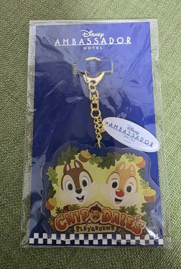 칩과 데일 스트랩