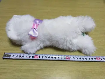 조이풀메이트 죽순 봉제 인형 고양이