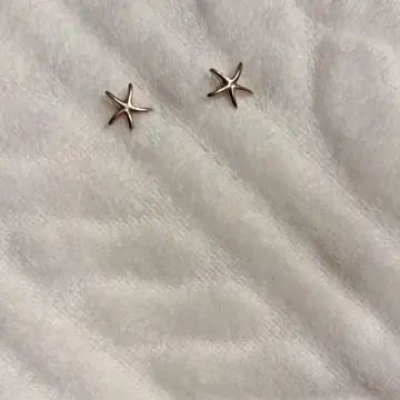 골드 계열 별 모양 귀걸이 (양쪽 귀)