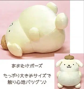 폼폼푸딩 빵빵 봉제 인형 M