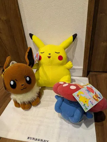 포켓몬스터 Pokemon 포켓몬 피카츄 이브이 라플레시아