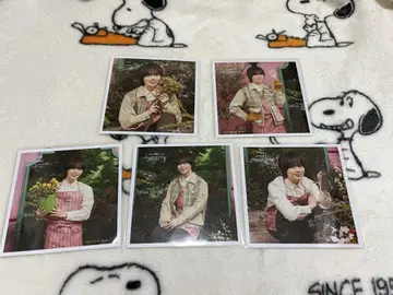 나니와단시 마시카쿠 포토 봄 오오니시 류세이 세트